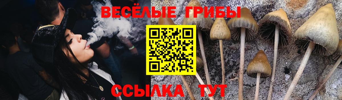 сколько стоит  Галлюциногенные грибы прущие грибы  Псилоцибиновые грибы ЛСД  Вход с VPN  Сочи 