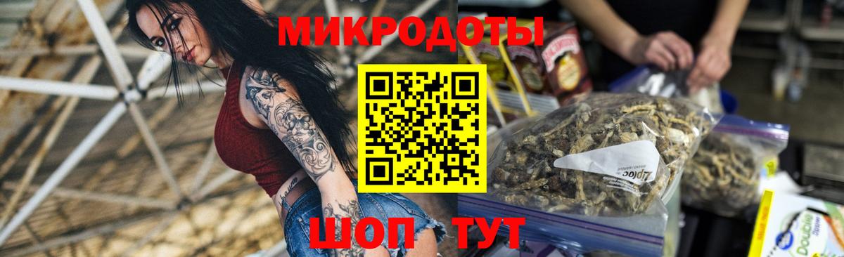Галлюциногенные грибы Psilocybe Сочи